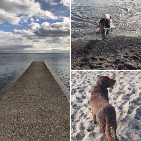 Meet your Posher, Tara - Picture 1 of 1